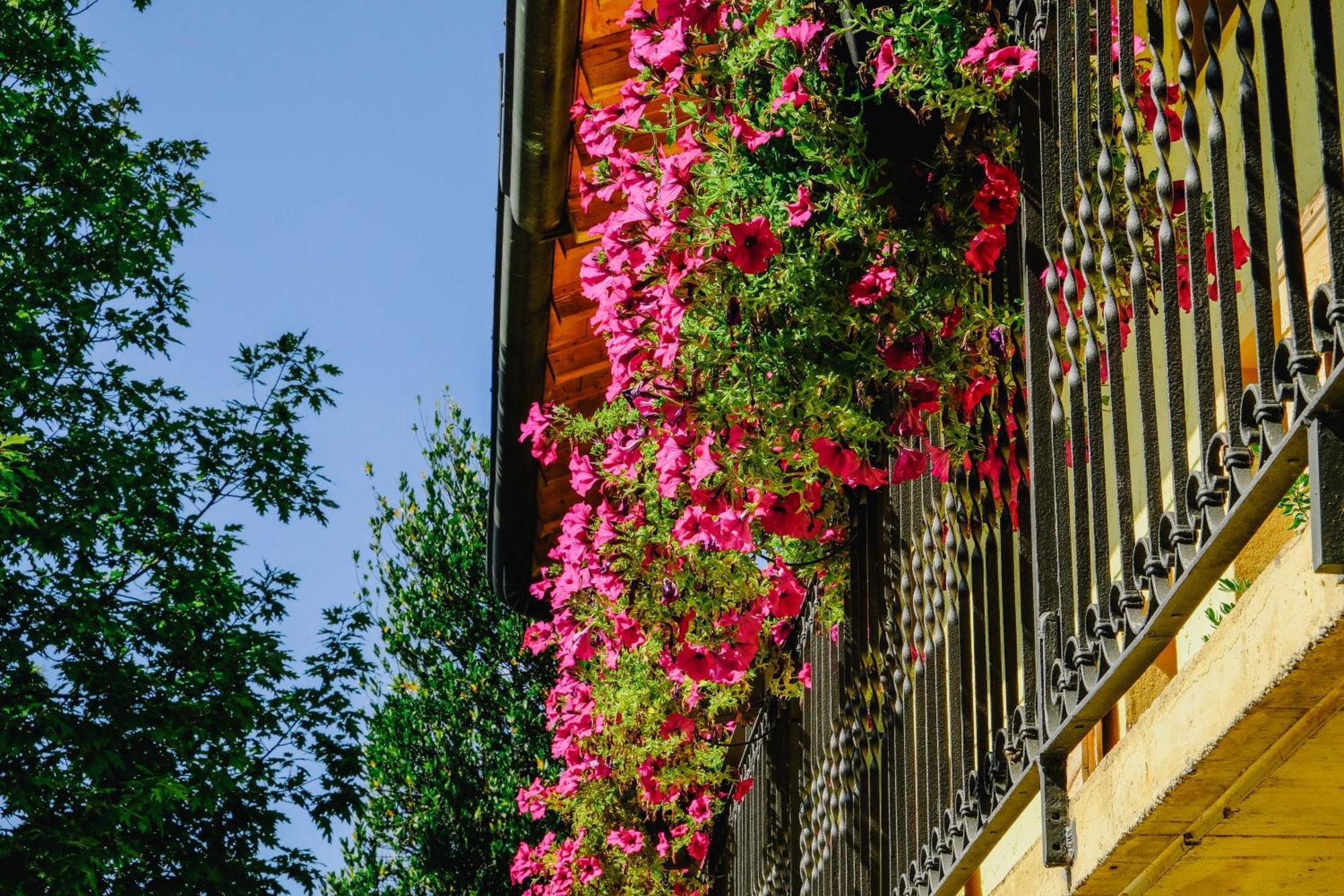 Agriturismo Ca' Fenile Alzano Lombardo Экстерьер фото